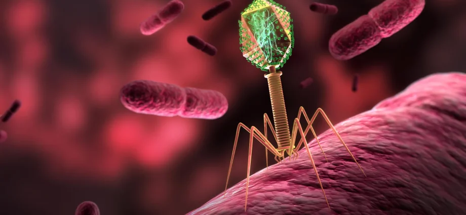 scientists-sent-viruses-to-space-and-they-evolved-in-surprising-ways