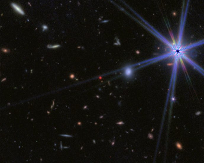 JWST’s ‘Little Red Dots’ May Be ‘Black Hole Stars’