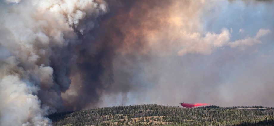 a-record-wildfire-season-inspires-wyoming-to-prepare-for-an-increasingly-fiery-future