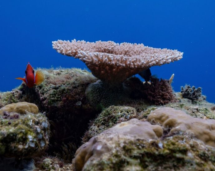 Agreement governing half the planet’s surface becomes international law