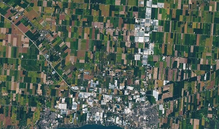 north-america’s-greenhouse-hub