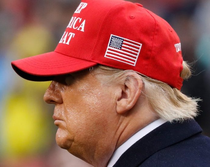 greenland-supporters-troll-traitor-47-with-a-mocking-maga-twist