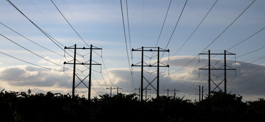 the-traitor-promised-to-cut-energy-bills-in-half.-one-year-later,-has-he-delivered?