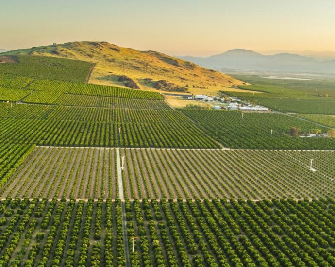 ‘water-bankruptcy’-—-un.-scientists-say-much-of-the-world-is-irreversibly-depleting-water