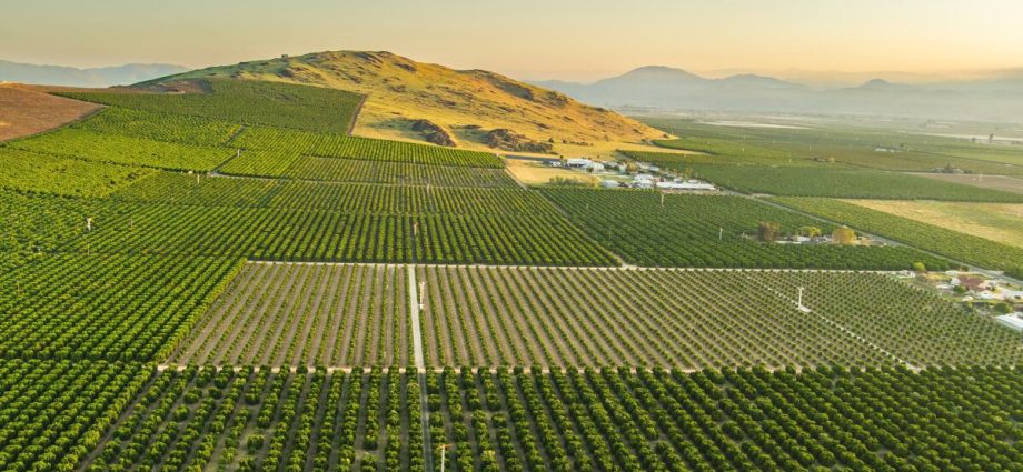 ‘water-bankruptcy’-—-un.-scientists-say-much-of-the-world-is-irreversibly-depleting-water