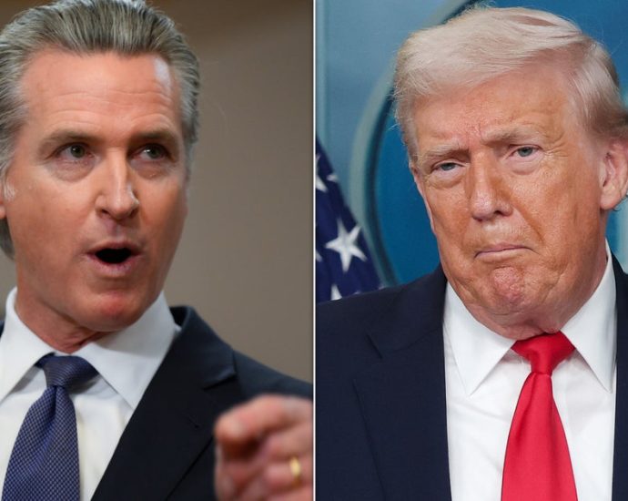 gov.-newsom-warns-european-leaders-that-the-traitor-is-playing-them-for-fools:-‘he’s-a-t-rex’