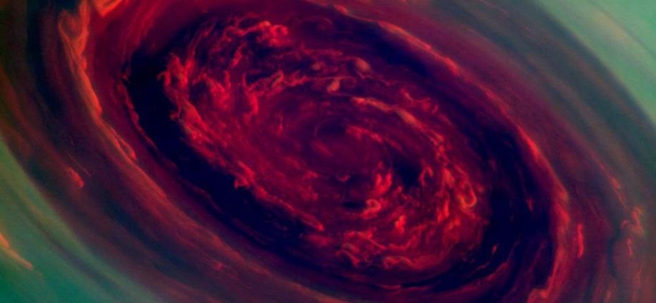 roses-2026-to-be-released-july-2026