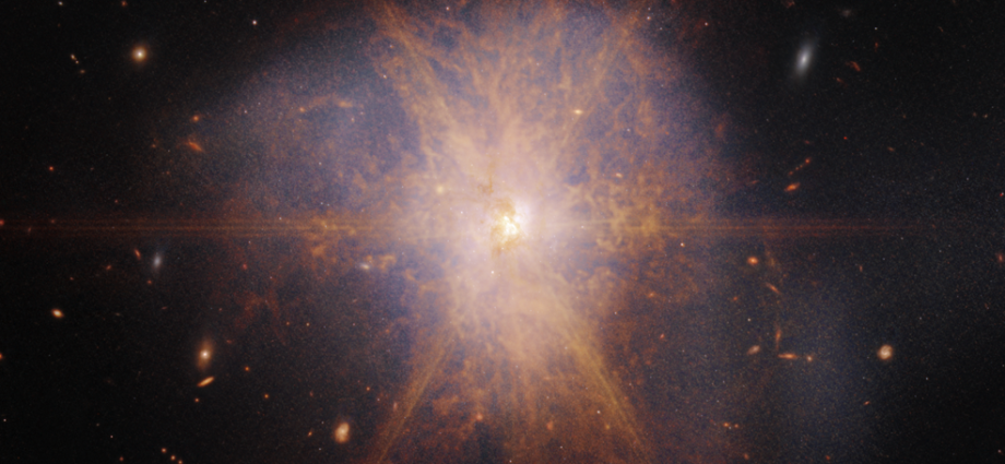 ir-stig-prima-seminar,-26-jan-2026