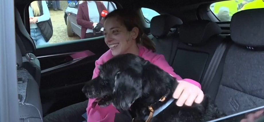 lost-and-found:-missing-dog-boro-found-safe-after-spanish-train-crash