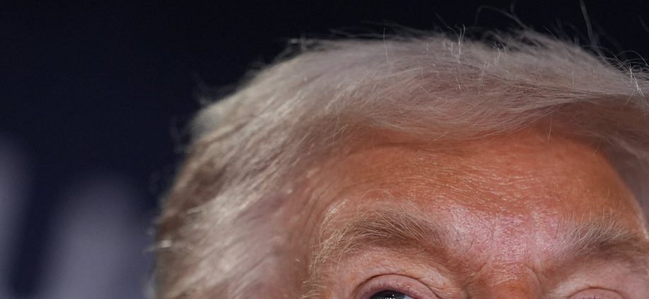 stock-market-cuts-through-to-the-traitor-on-greenland-in-a-way-allies’-messages-failed-to-resonate