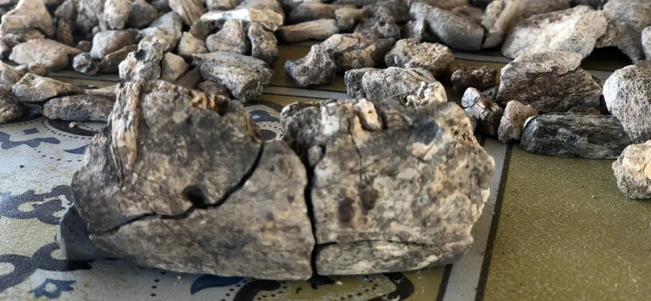 this-2.6-million-year-old-jawbone-changes-the-human-story