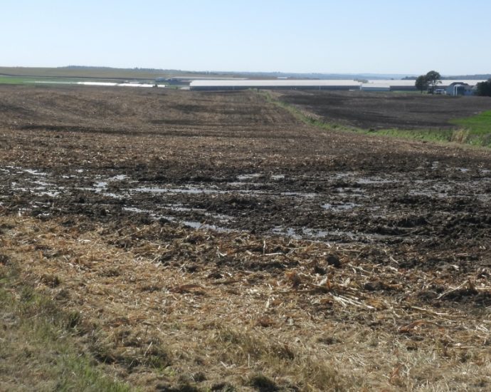 stretched-thin,-iowa-agency-issues-few-fines-for-manure-pollution