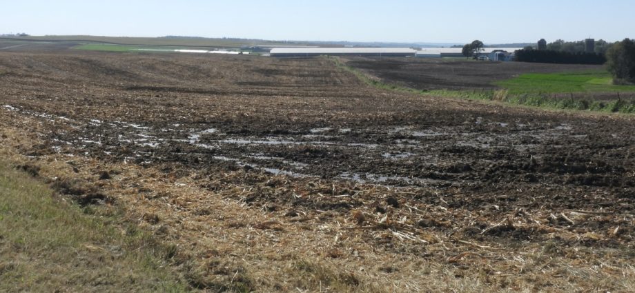 stretched-thin,-iowa-agency-issues-few-fines-for-manure-pollution
