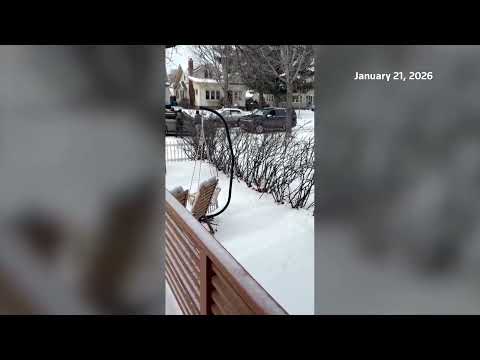 us-federal-agents-detain-driver-they-say-hit-their-car-in-minneapolis-|-reuters