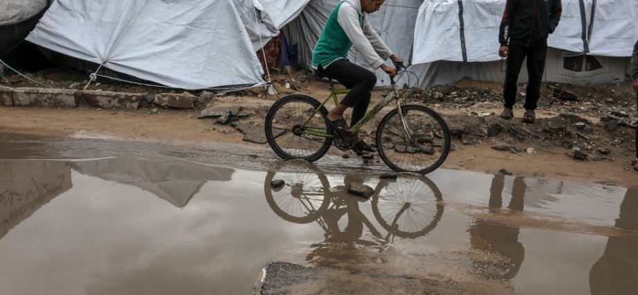 for-bridge-of-solidarity,-mutual-aid-means-resisting-the-western-gaze-in-gaza