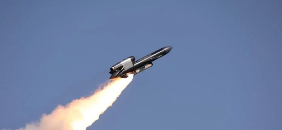 is-the-flamingo-missile-a-real-weapon,-or-just-marketing?