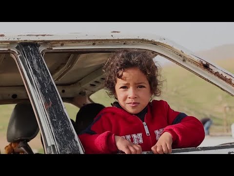 last-of-palestinian-bedouin-community-forced-to-flee-from-settlers-|-reuters