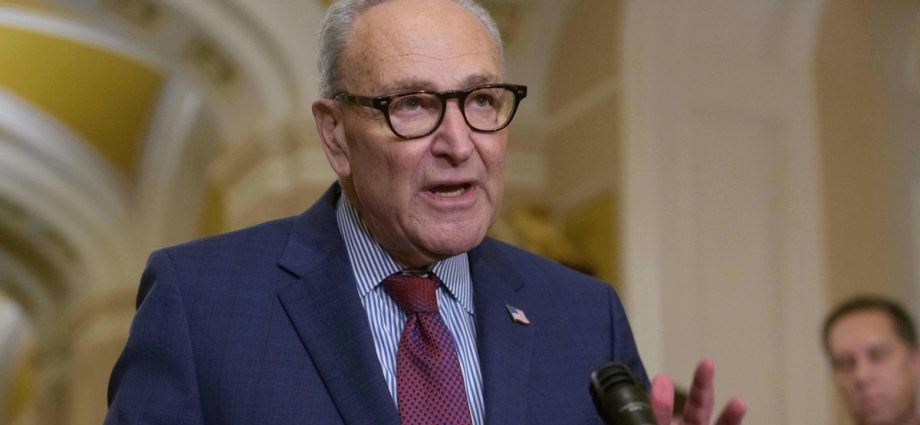 democrats-consider-partial-government-shutdown-to-curb-ice