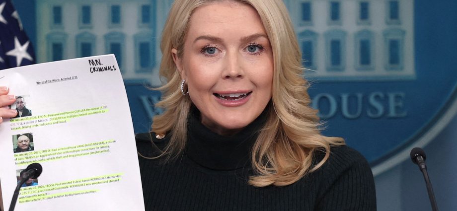 white-house-attacks-‘sensationalist’-media-over-alex-pretti-coverage