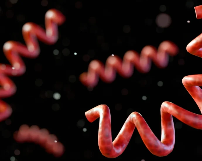 a-lost-disease-emerges-from-5,500-year-old-human-remains