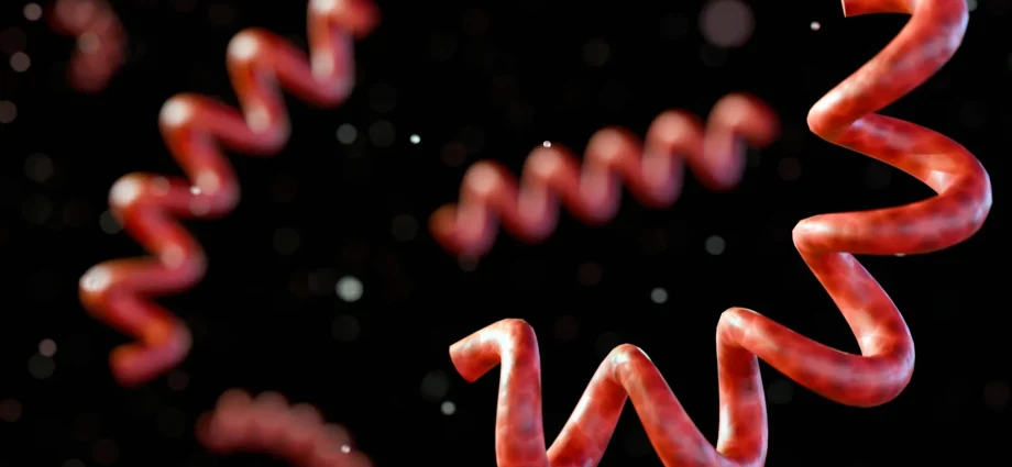 a-lost-disease-emerges-from-5,500-year-old-human-remains