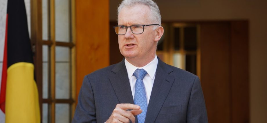 australia-cancels-visa-of-israeli-influencer-accused-of-‘spreading-hatred’