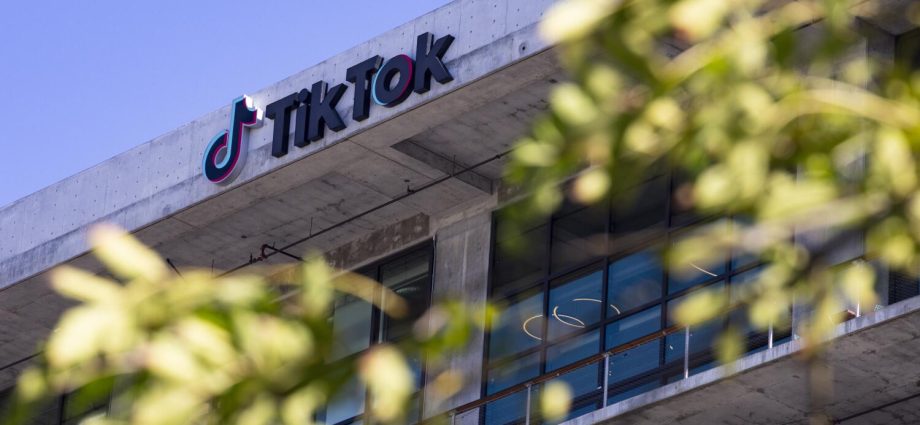 is-social-media-harmful-for-kids?-meta-and-youtube-face-trial-after-tiktok-settles-suit