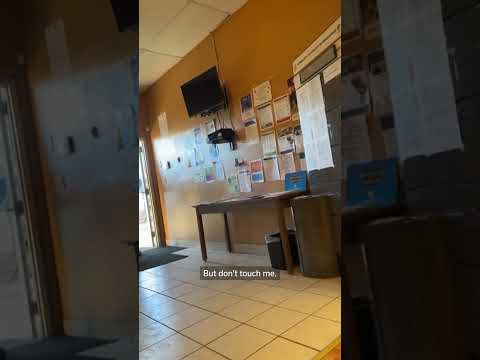 ecuador-says-ice-agent-tried-to-enter-consulate-in-minneapolis