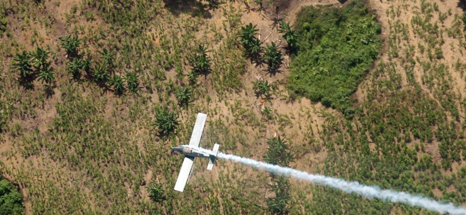 colombian-lawmaker-among-15-missing-in-plane-disappearance