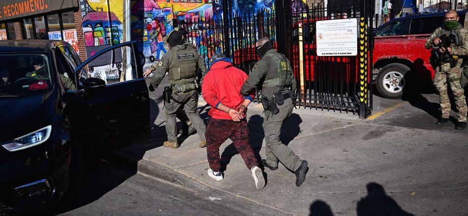 ice-is-using-palantir’s-ai-tools-to-sort-through-tips