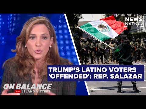 hispanics-‘very-offended’-ice-is-targeting-more-than-violent-criminals:-maria-salazar-|-on-balance