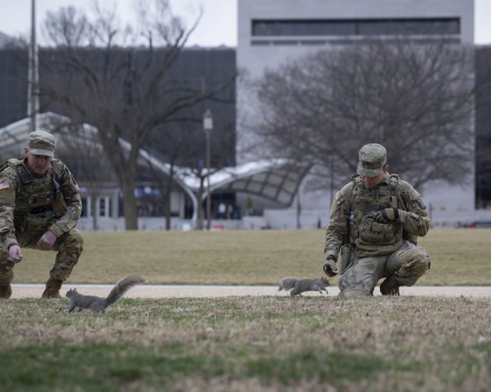 here’s-how-much-the-traitor’s-troop-deployments-have-cost-taxpayers