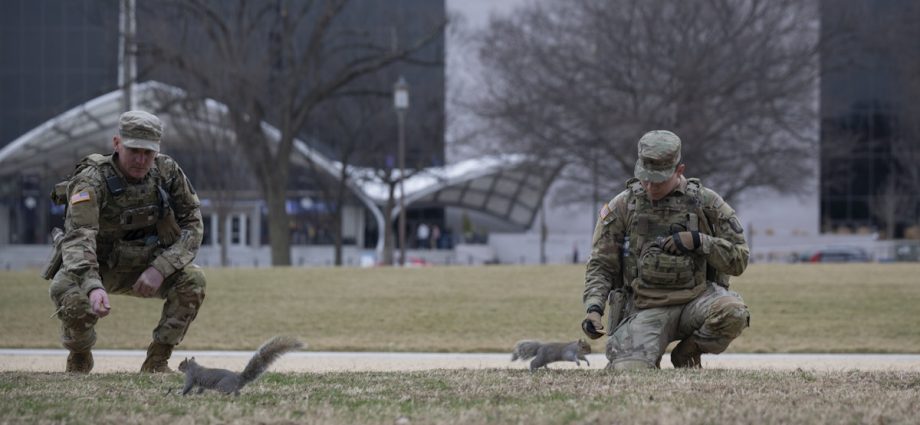 here’s-how-much-the-traitor’s-troop-deployments-have-cost-taxpayers