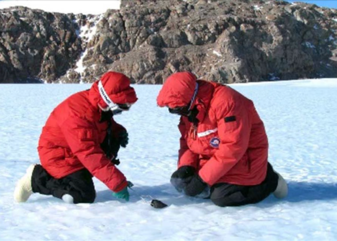 team-ii-national-connector-awards