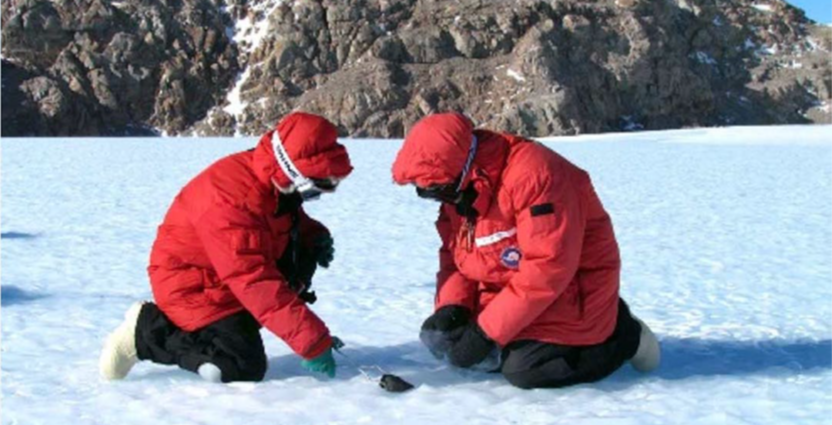 team-ii-national-connector-awards