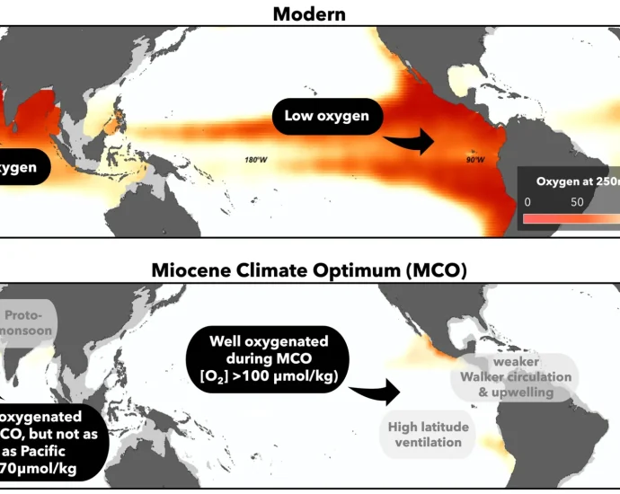 ancient-oceans-stayed-oxygen-rich-despite-extreme-warming