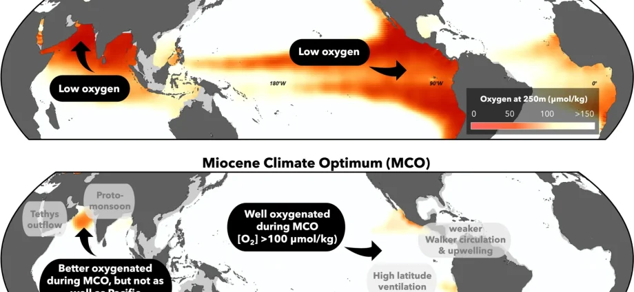 ancient-oceans-stayed-oxygen-rich-despite-extreme-warming