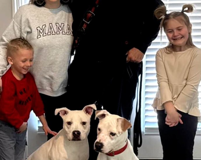 firefighter-adopts-puppies-he-rescued-from-house-fire