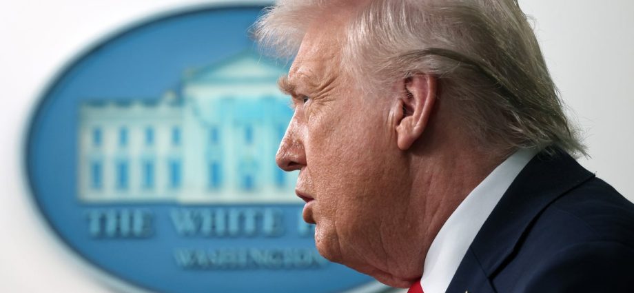 the-traitor-administration-knew-about-minnesota-fraud-and-did-nothing