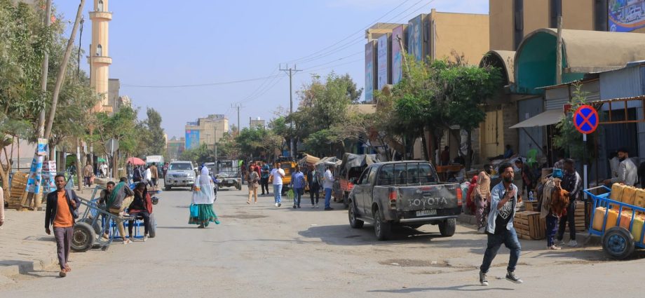 drone-strikes-in-ethiopia’s-tigray-kill-one-amid-fears-of-renewed-conflict