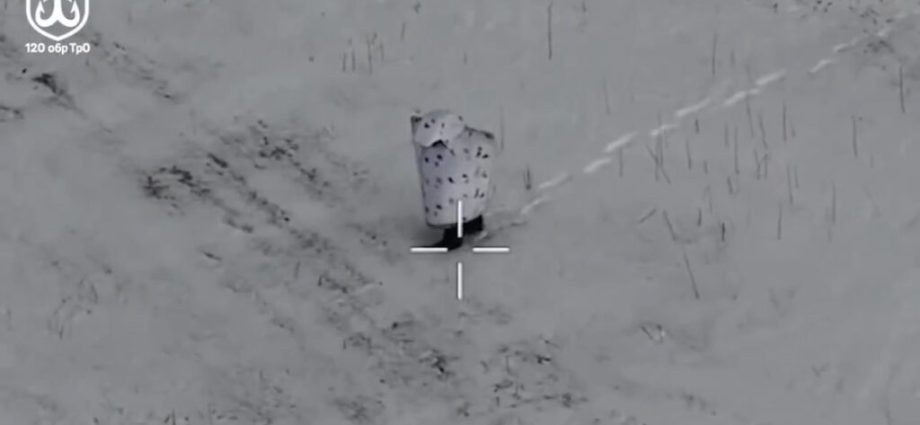 ukraine’s-drones-have-taken-out-three-russian-penguin-troopers