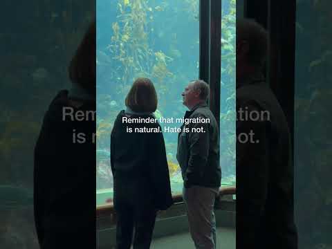 your-daily-reminder.