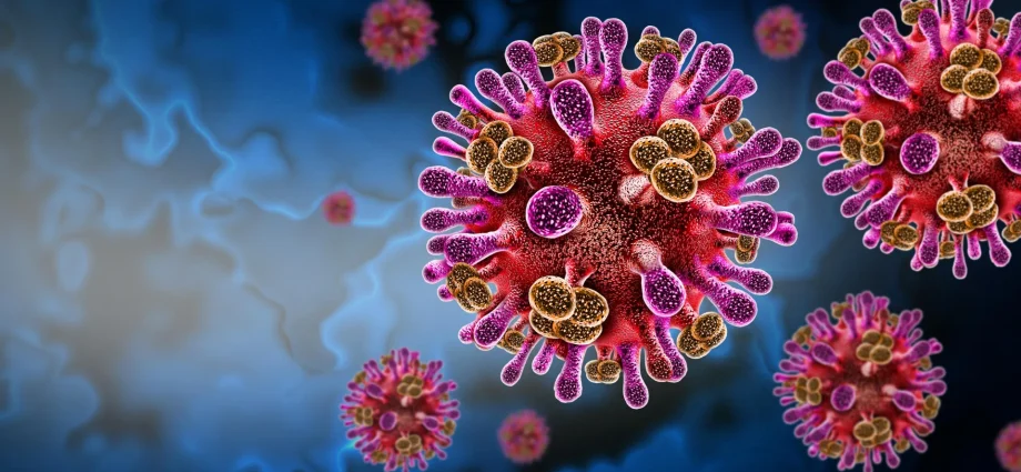 a-hidden-bat-virus-is-infecting-humans