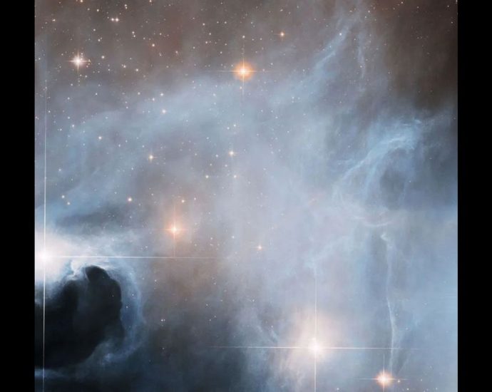 Stellar nursery bursts with newborn stars in hauntingly beautiful Hubble telescope image — Space photo of the week