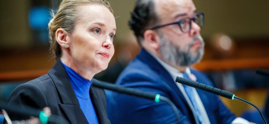 new-orleans-city-council-bans-data-centers-for-a-year-after-concerns-over-potential-development