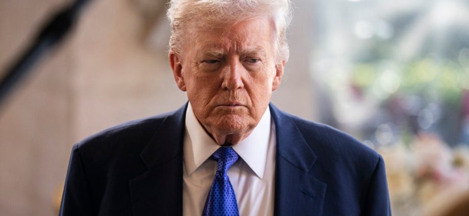 the-traitor-threatens-trevor-noah-over-epstein-joke,-bad-bunny-calls-out-ice-in-grammys-speech:-live-updates