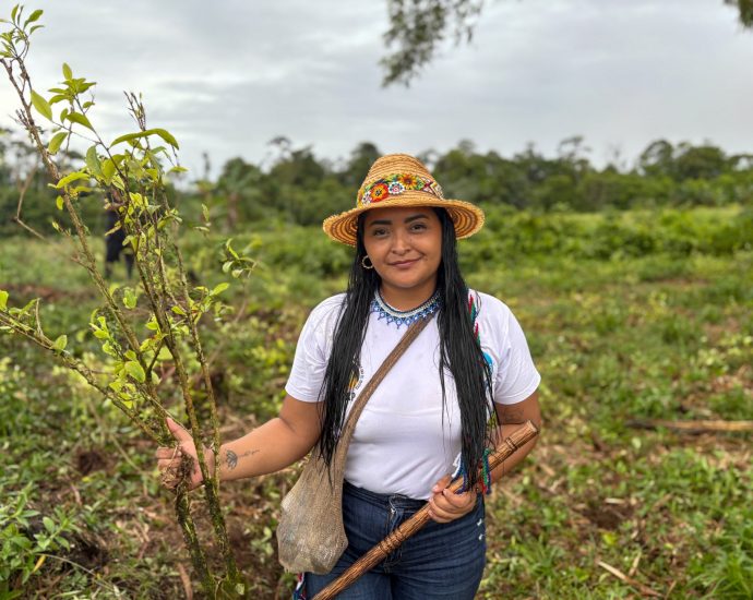 the-traitor-and-petro-clash-over-how-best-to-uproot-colombia’s-cocaine-crops