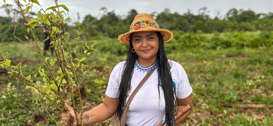 the-traitor-and-petro-clash-over-how-best-to-uproot-colombia’s-cocaine-crops