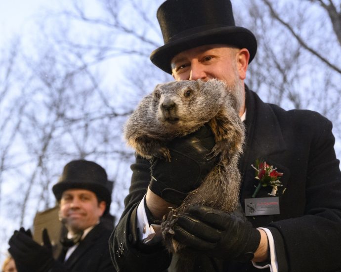 why-punxsutawney-phil’s-weather-forecast-may-not-be-so-accurate