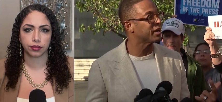 “journalism-is-not-a-crime”:-georgia-fort-&-don-lemon-arrested-for-covering-st.-paul-church-protest